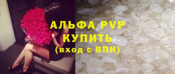 хмурый Верея