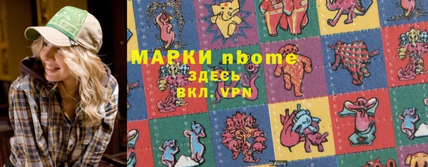 хмурый Верея