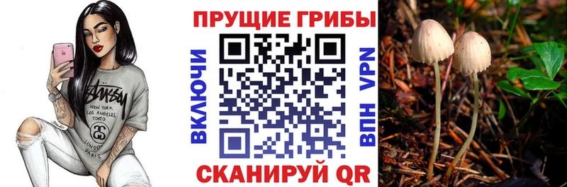 Псилоцибиновые грибы Cubensis  Калачинск 